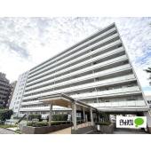 リノベーション完了しました