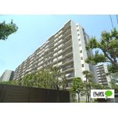 ２０２６年１月中旬頃リノベーション完了予定です