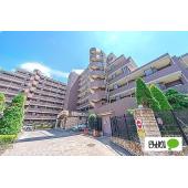 ２０２５年１０月末リノベーション完了しました