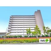 ２０２６年１月上旬リノベーション完了予定です