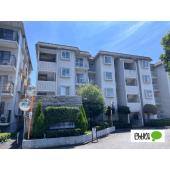 ２０２５年１２月上旬頃フルリノベーション完了予定です