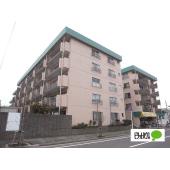 ２０２６年２月末リノベーション完了予定です