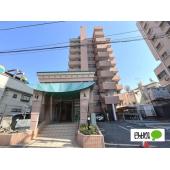 ２０２６年１月末リノベーション完了予定です