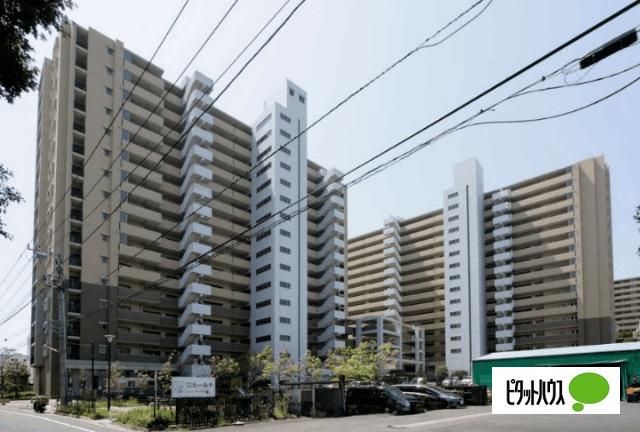 お気軽にお問い合わせください