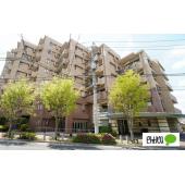 ２０２６年２月のリノベーション完了予定です