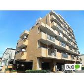 ２０２６年１月末リノベーション完了予定です