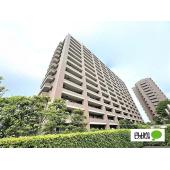 ２０２６年３月上旬頃リノベーション完了予定です