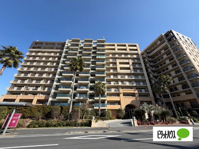 日当たり良好な物件です