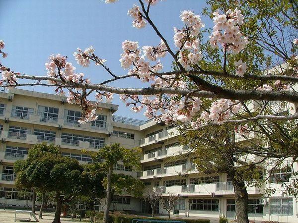 松戸市立松ケ丘小学校