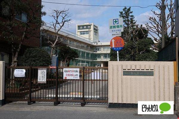 市川市立市川小学校