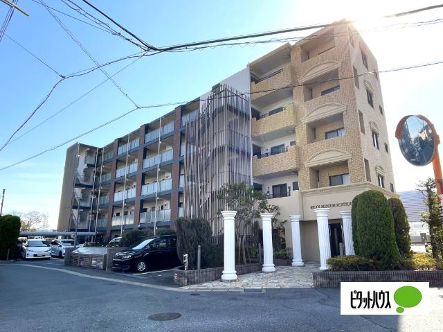 レグザ南市川 物件画像