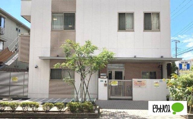 幼稚園、保育園