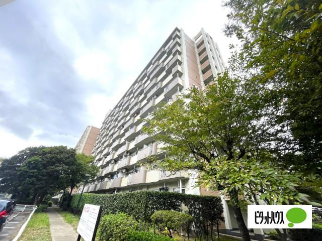 ハイタウン塩浜第二２９号棟 物件画像