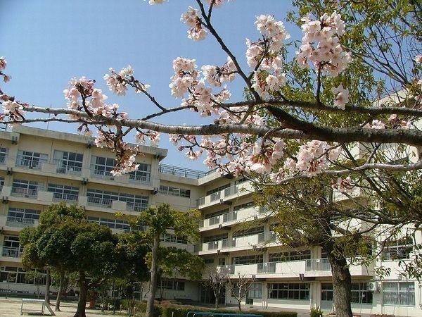 小学校