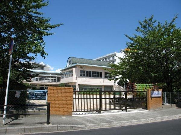 幼稚園、保育園