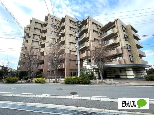 レクセルマンション高根公団 物件画像