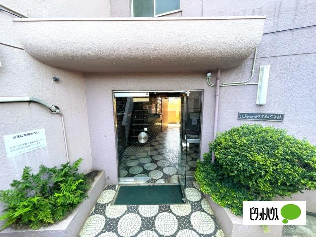 いづみハイツ滝不動５号棟 物件画像