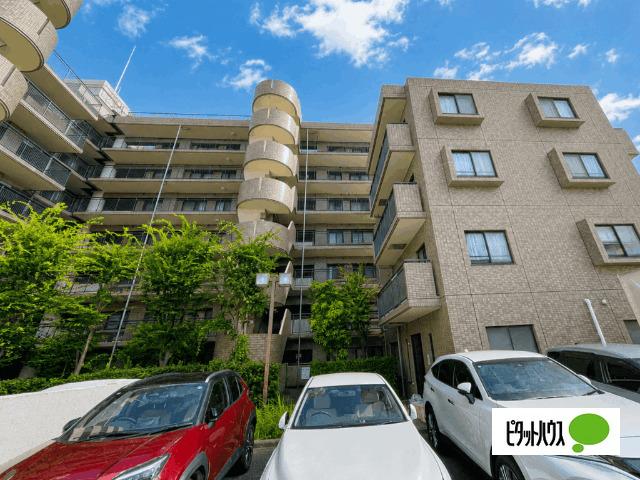 モアステージ市川 物件画像