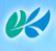 熊本信用金庫県庁前支店：377m