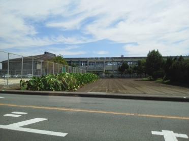 飽田中学校：450m