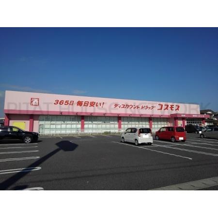 フォルセティ 周辺環境写真6 コスモス野中店：1600m