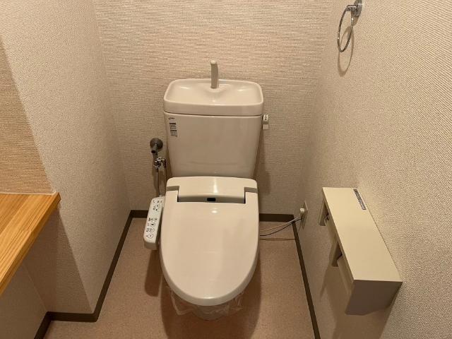 ＡＤＶＡＮＣＥ帯山（303） トイレ