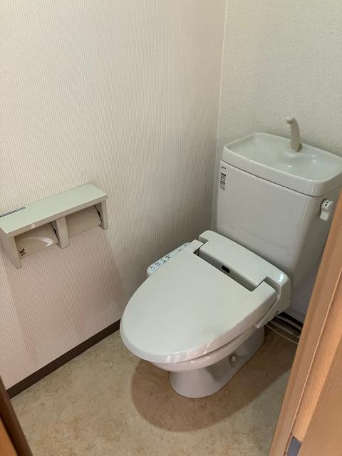 ＡＤＶＡＮＣＥ帯山（202） トイレ