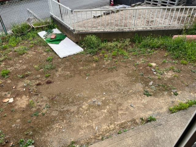 プライマリー植木（4） 庭