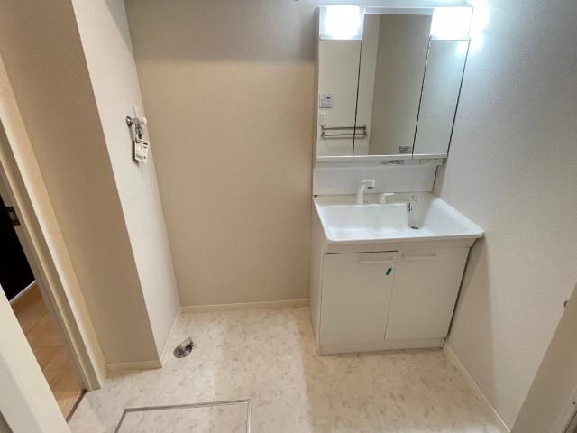 ピエソンプラン　Ⅰ棟（103） 洗面