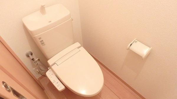グランディールはませんⅡ（201） 部屋画像