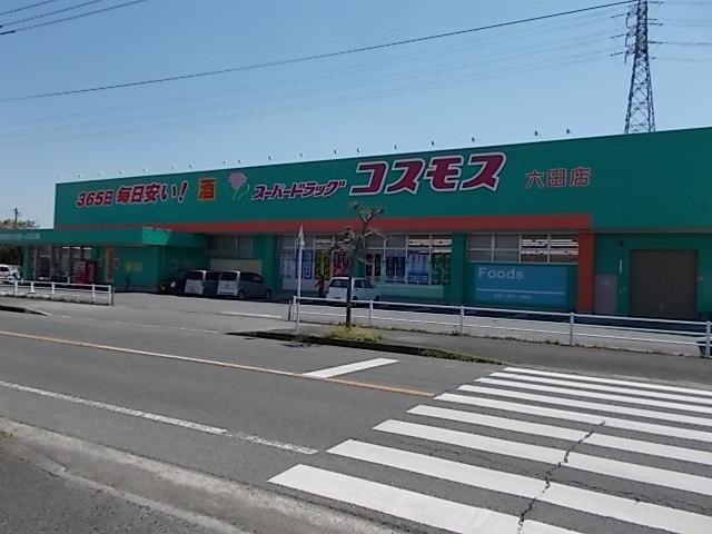 コスモス　六田店：1200m