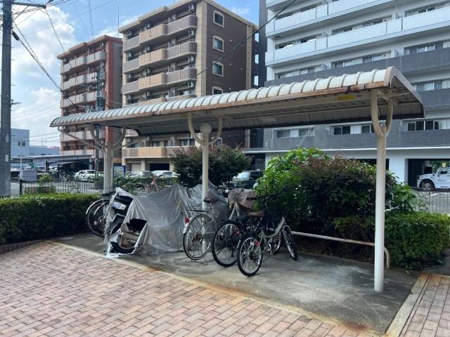 ＬｉｂｅｒｔｙＳｈｉｎｅ その他