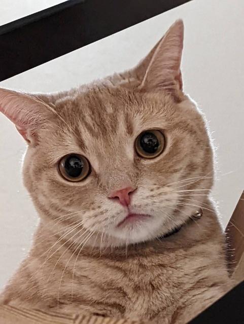 ヒルズ春日 物件画像