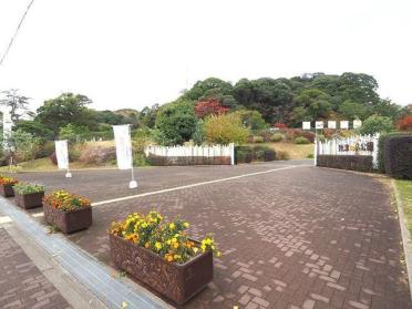 到津の森公園：600m