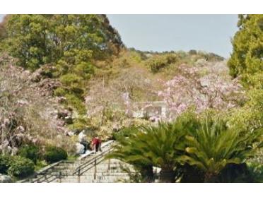 白野江植物公園：2700m