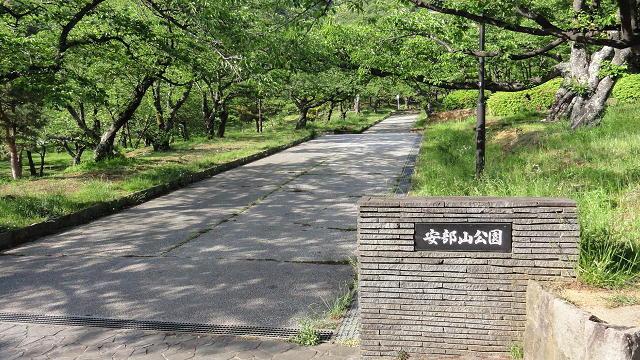 トレゾア湯川新町（A202） 部屋画像