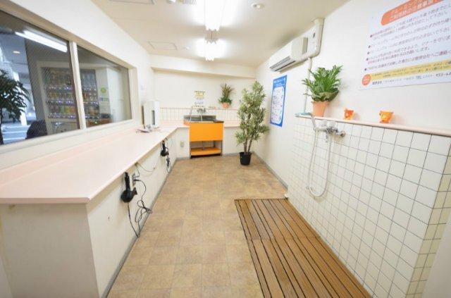ニューガイア四季彩の丘　Ｃ棟（304） 部屋画像