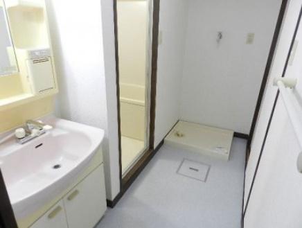 ペルル湯川新町壱番館（304） 洗面
