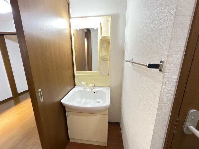 ビッグフォレスト壱番館 洗面