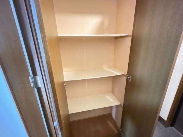 ビッグフォレスト壱番館 収納