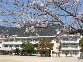 イマージュ安部山公園（203） 部屋画像