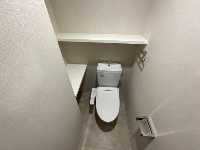 ハイネス徳力（803） トイレ