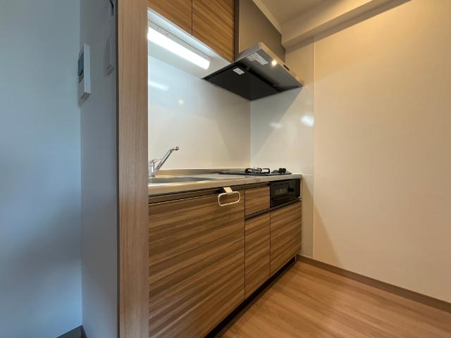 THE-Apartment開（102） キッチン