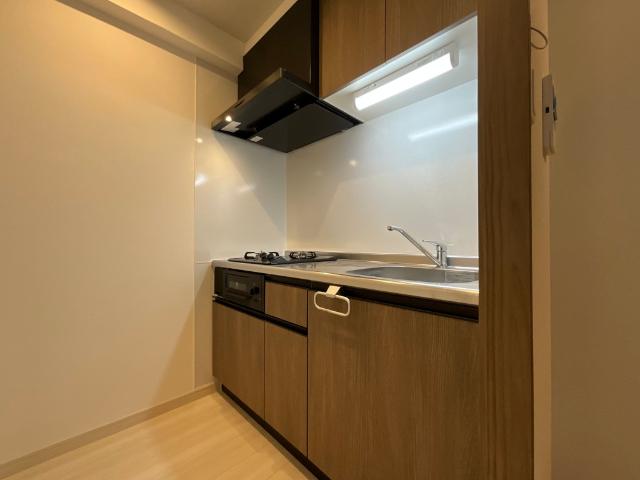 THE-Apartment開（103） キッチン