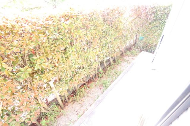 コンフォールⅡ番館（102） 部屋画像