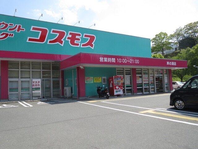 コスモス：800m