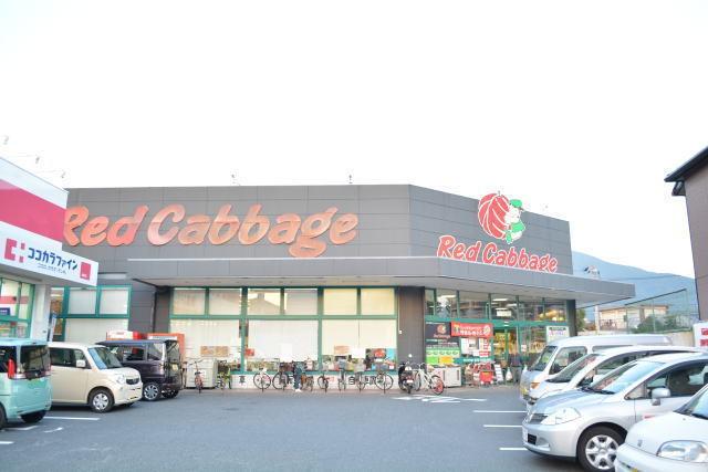 レッドキャベツ城野店：650m