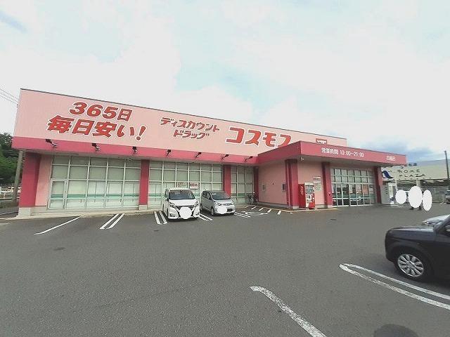 コスモス：1100m