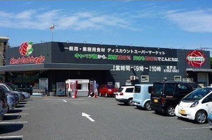 レッドキャベツ：800m