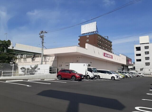 コスモス：750m
